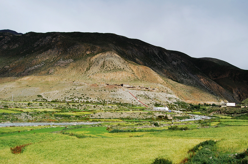 n60 881.jpg