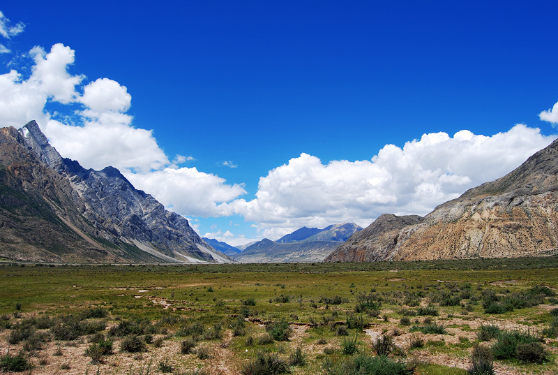 n60 931.jpg