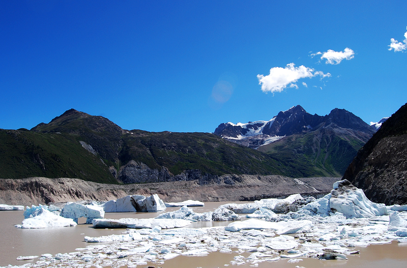 n60 1014.jpg