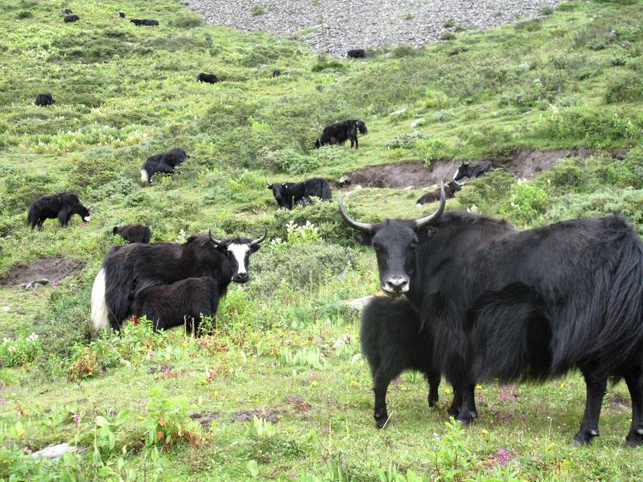 ��Ƭ 386.jpg