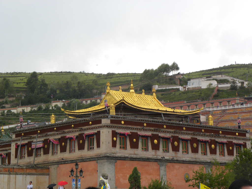 DSCN2600.jpg