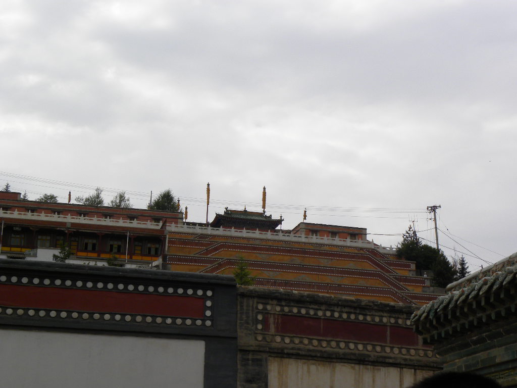 DSCN2636.jpg