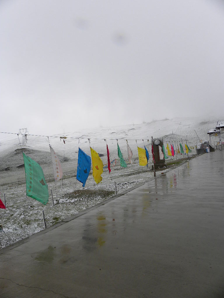 DSCN2745.jpg