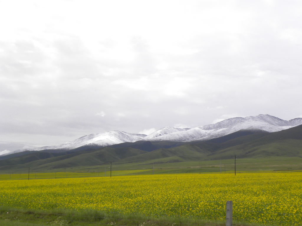 DSCN2802.jpg