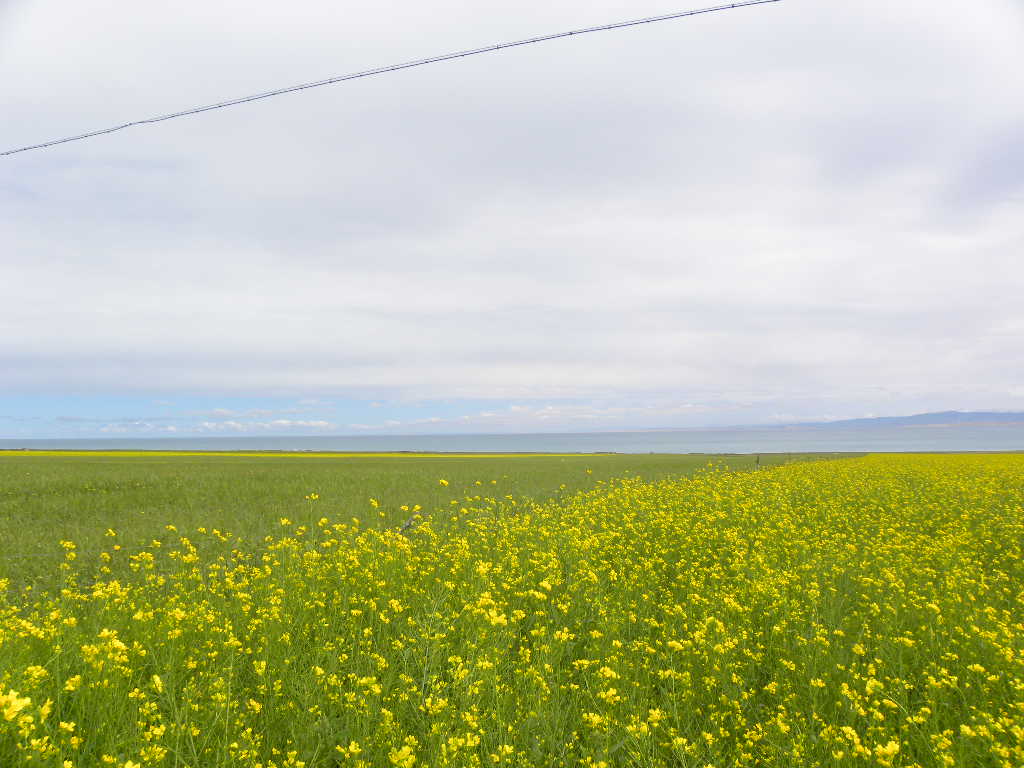 DSCN2810.jpg