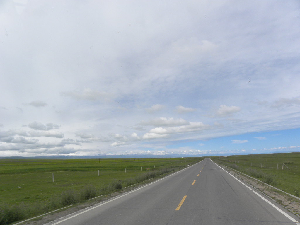DSCN2907.jpg