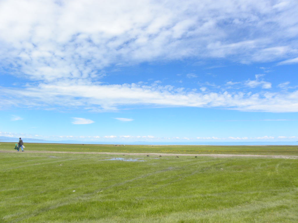 DSCN2946.jpg