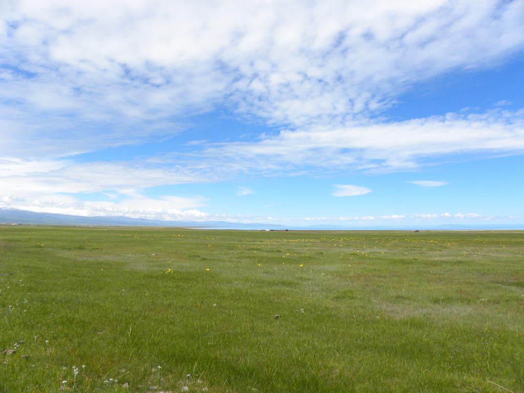 DSCN2954.jpg