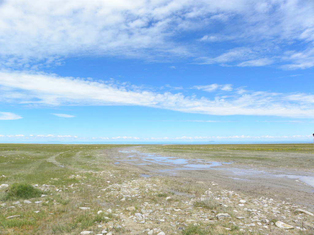 DSCN2961.jpg