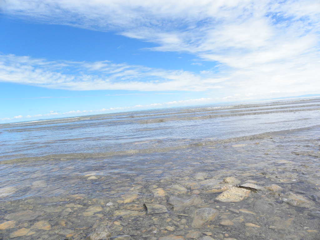 DSCN2980.jpg