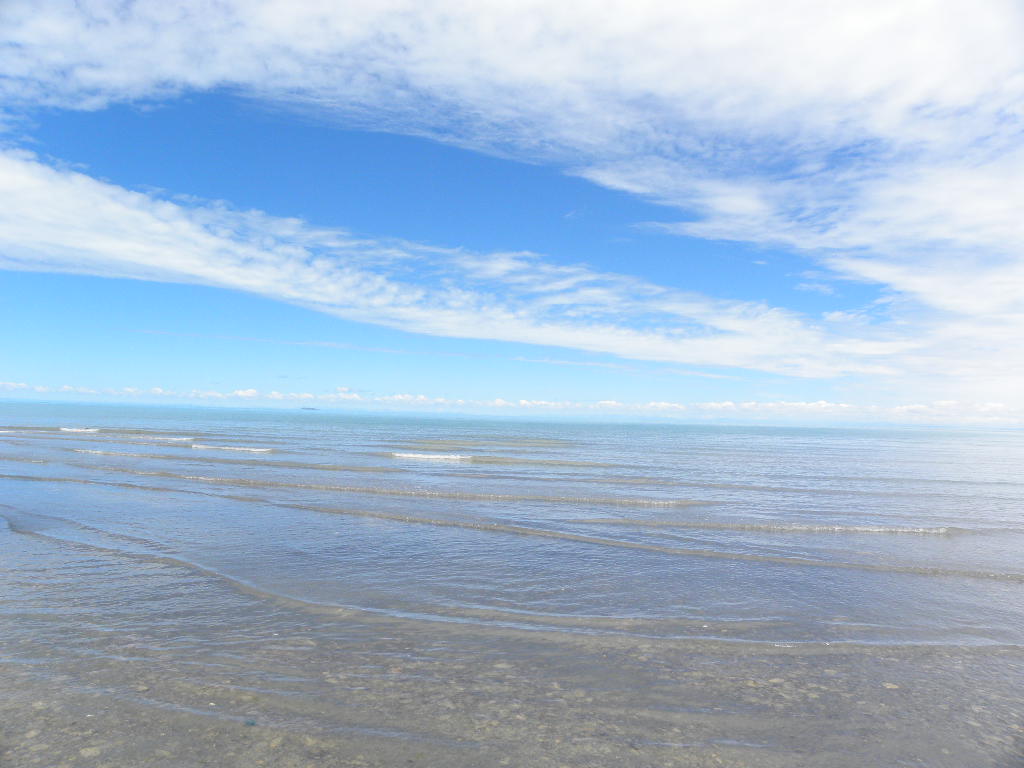 DSCN2981.jpg