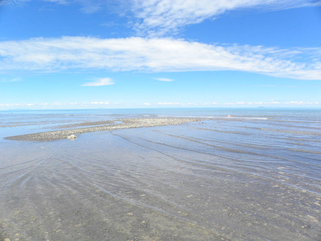 DSCN2985.jpg