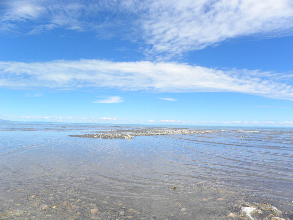 DSCN2987.jpg
