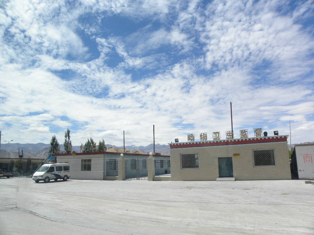 DSCN3144.jpg