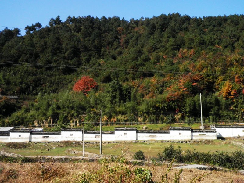 nEO_IMG_PB091433.jpg