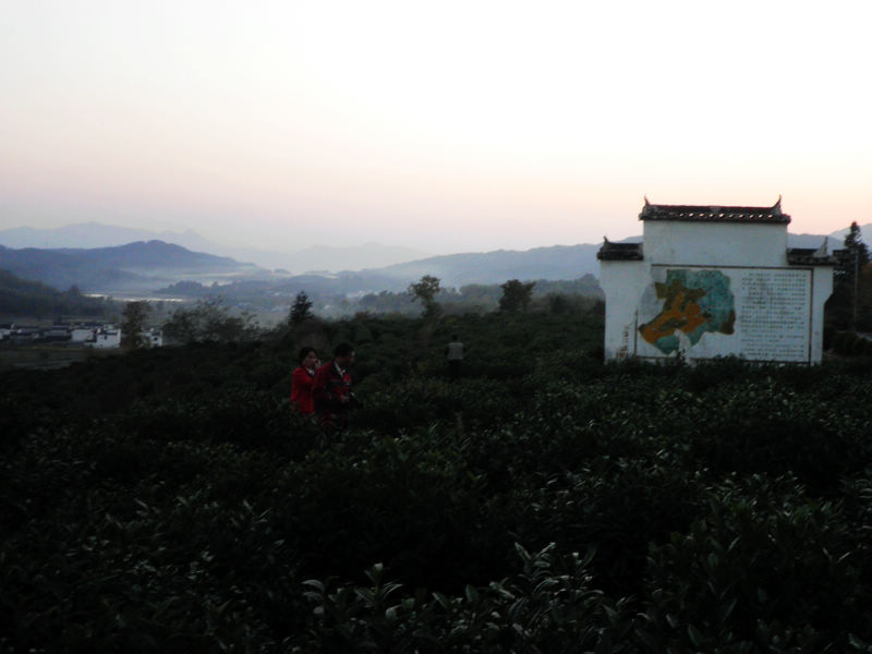 nEO_IMG_PB091537.jpg