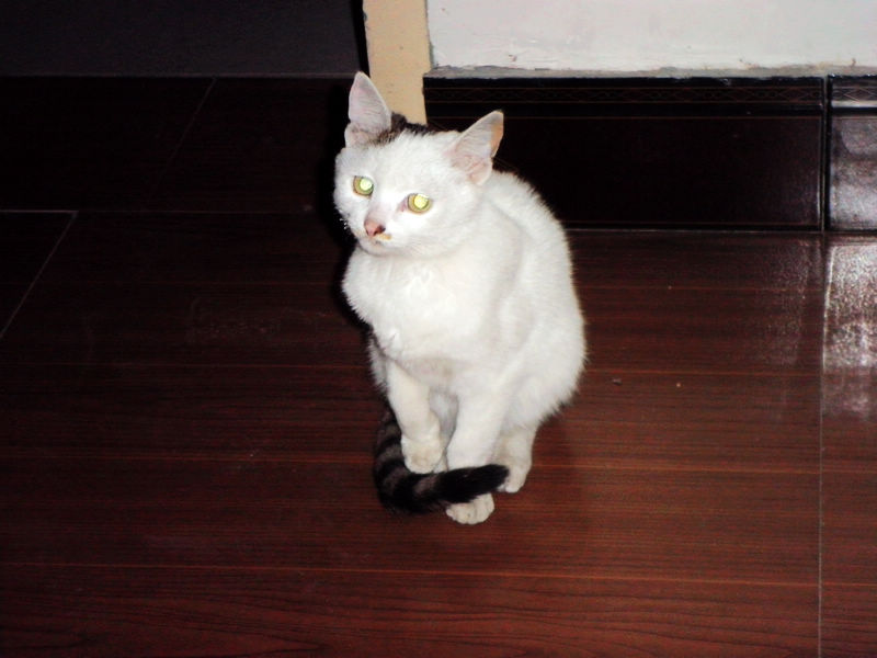 nEO_IMG_PB091551.jpg