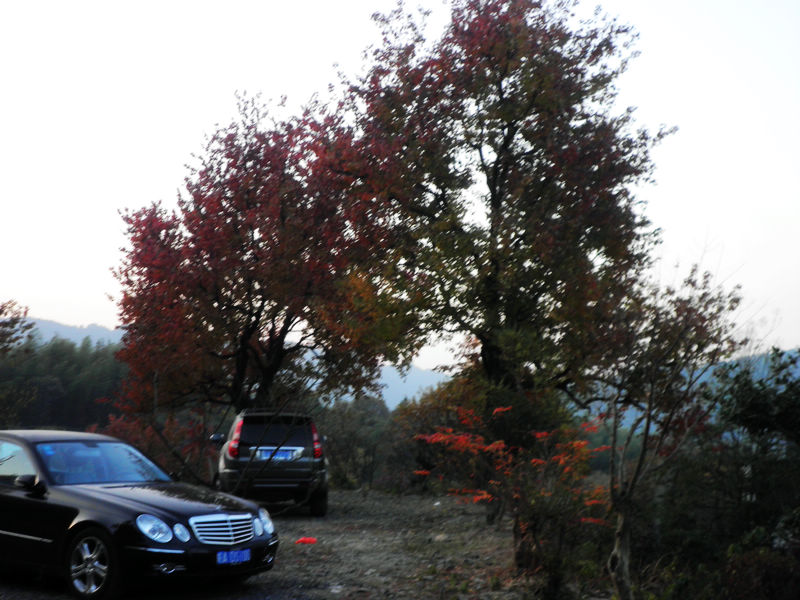 nEO_IMG_PB101575.jpg