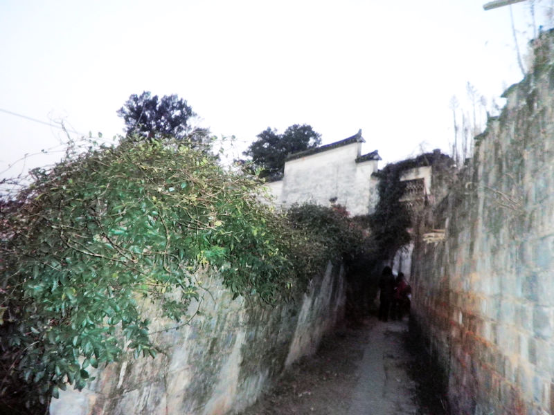 nEO_IMG_PB101557.jpg