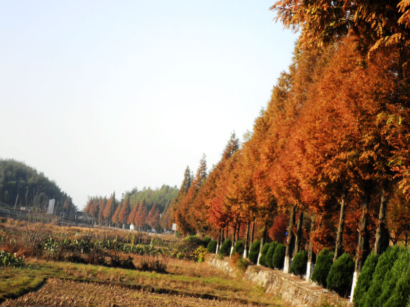 nEO_IMG_PB101611.jpg