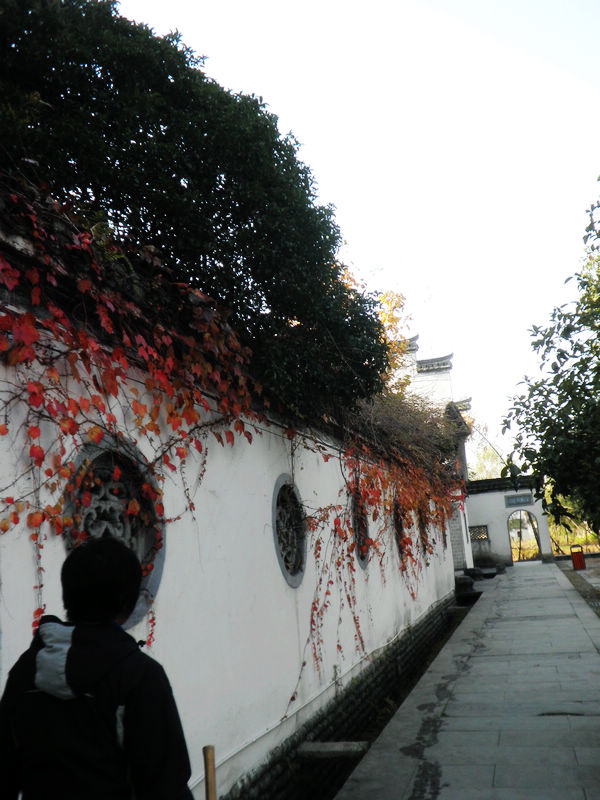 nEO_IMG_PB101619.jpg