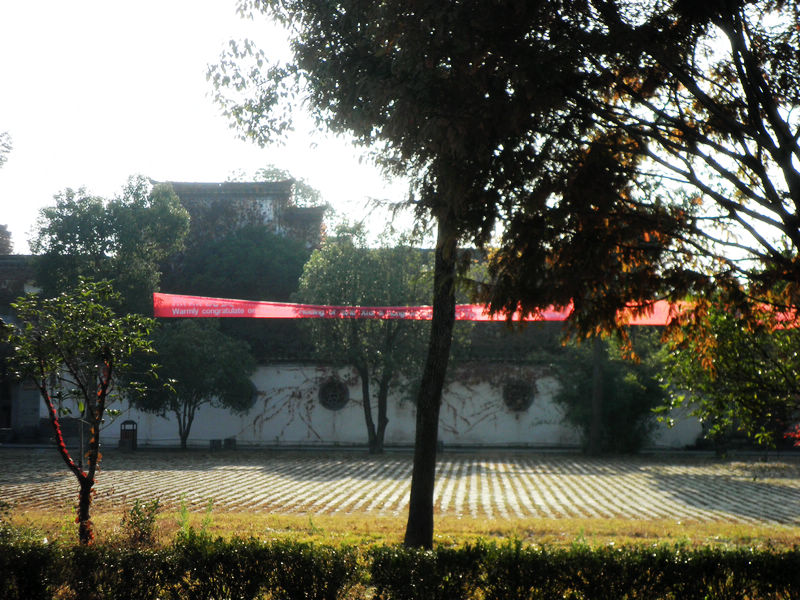 nEO_IMG_PB101620.jpg