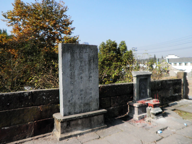 nEO_IMG_PB101677.jpg