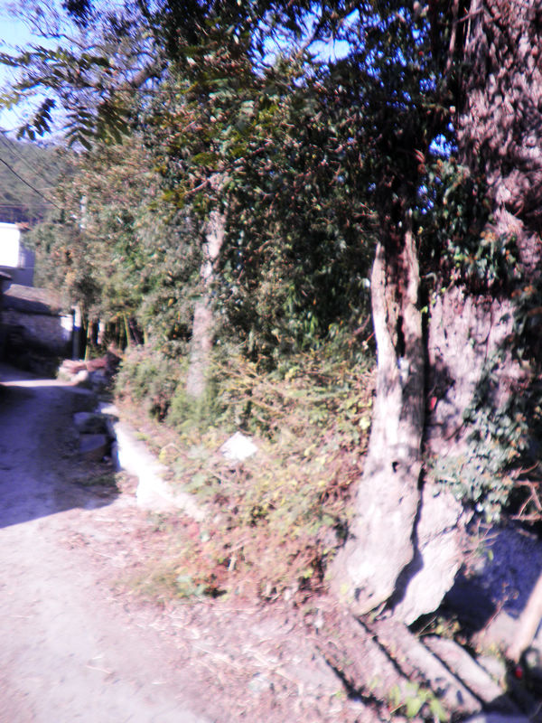 nEO_IMG_PB111845.jpg