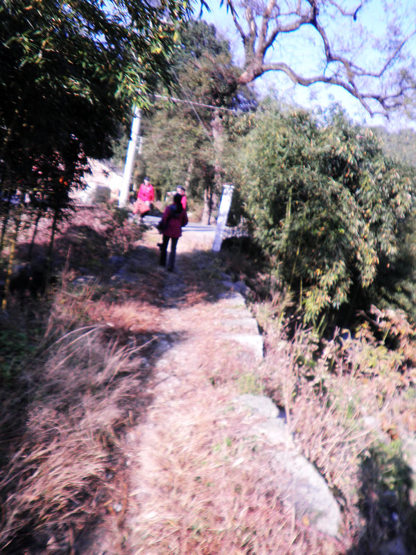 nEO_IMG_PB111843.jpg