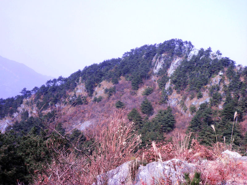 nEO_IMG_PB111910.jpg