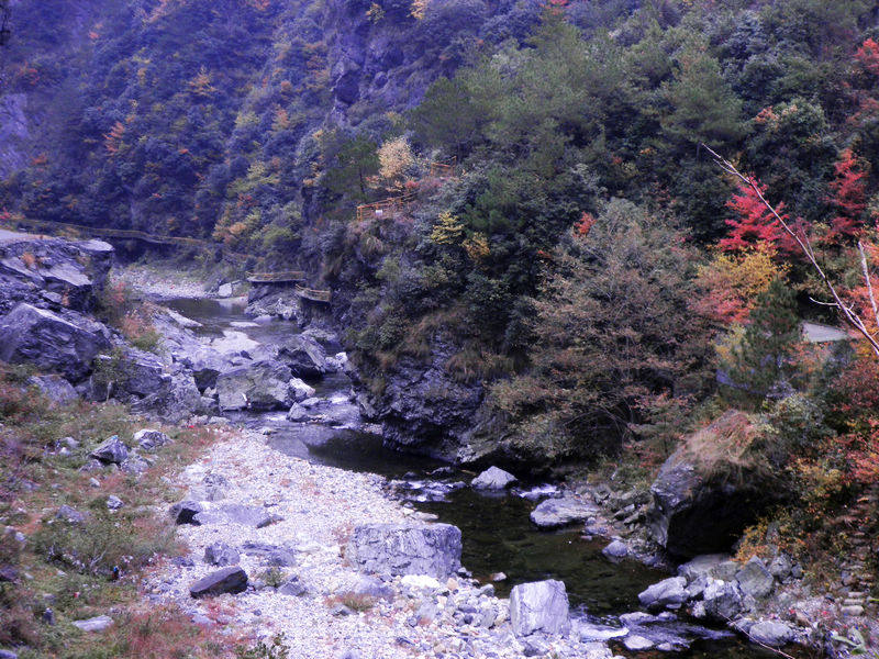 nEO_IMG_PB111903.jpg
