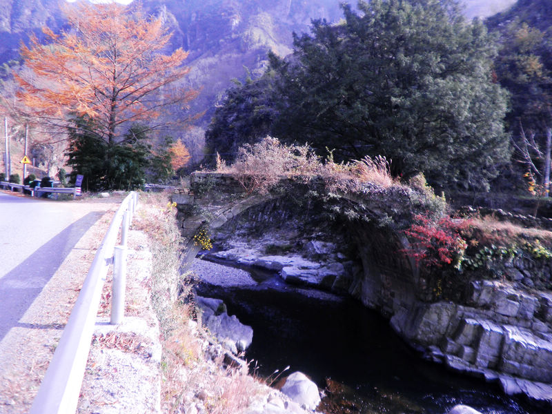 nEO_IMG_PB111926.jpg