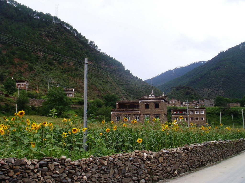 DSC02822.JPG