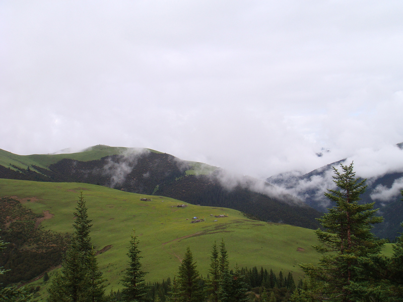 DSC02843.JPG