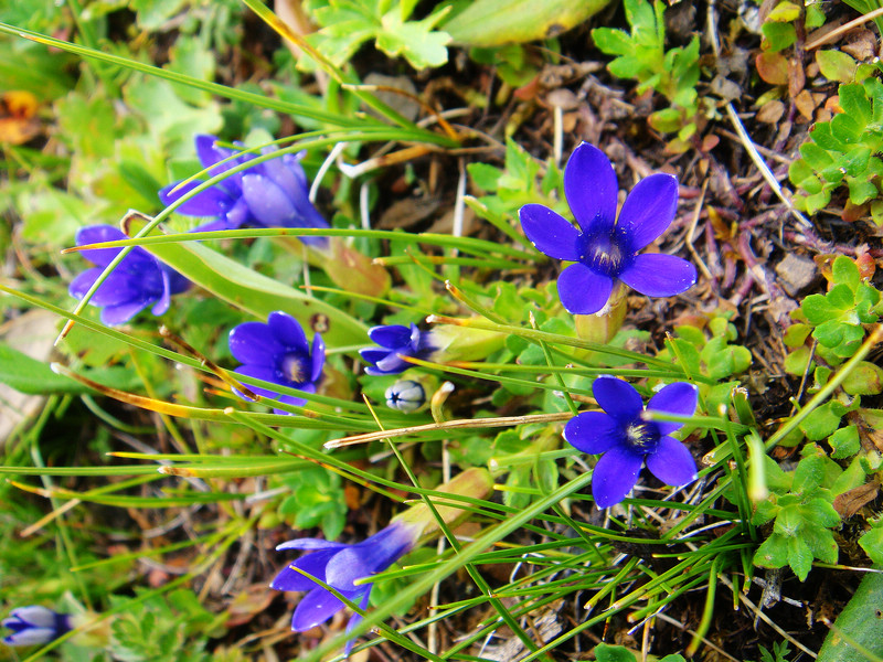 DSC02864.JPG