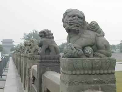 200841611194207[1].jpg