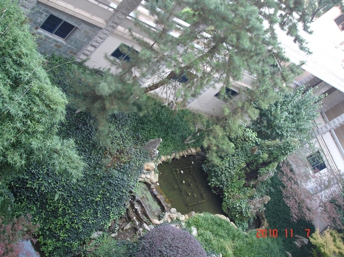 DSC07258.JPG