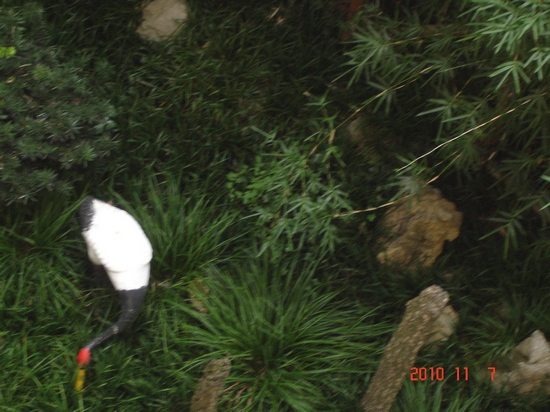 DSC07259.JPG