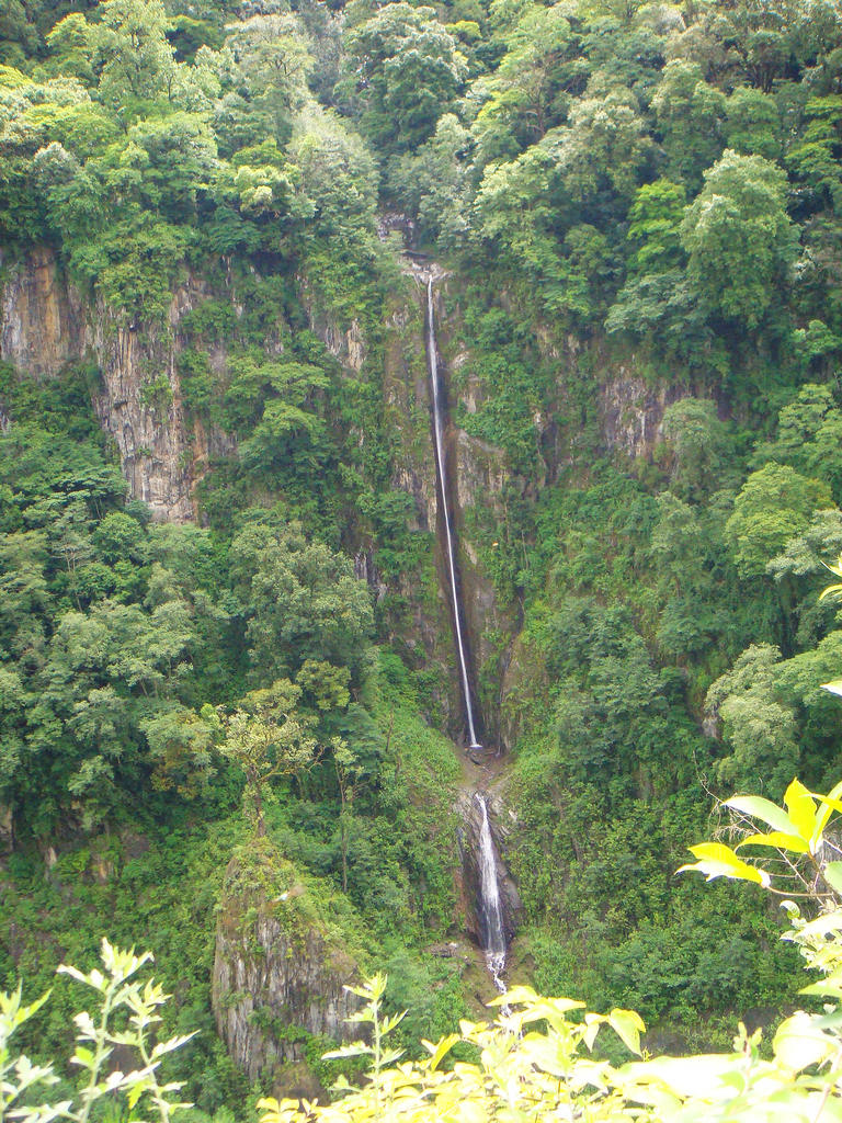DSC03319.JPG
