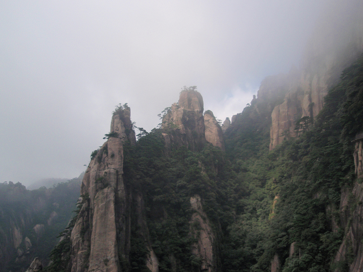 P9054282.jpg