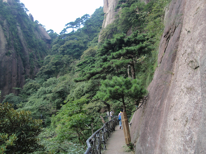 P9054289.jpg