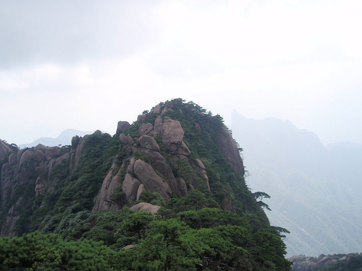 P9054297.jpg