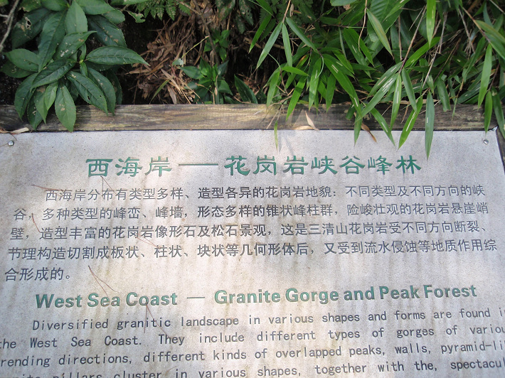 P9054298.jpg