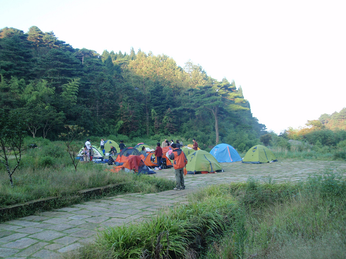 P9064307.jpg