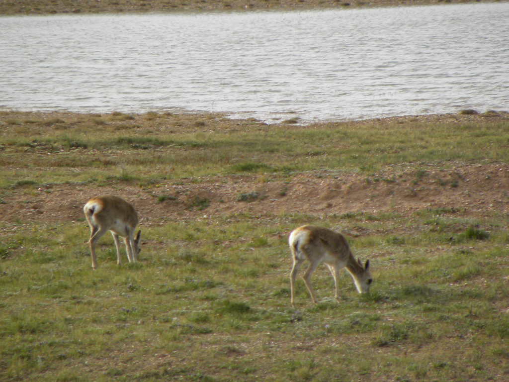DSCN3404.jpg