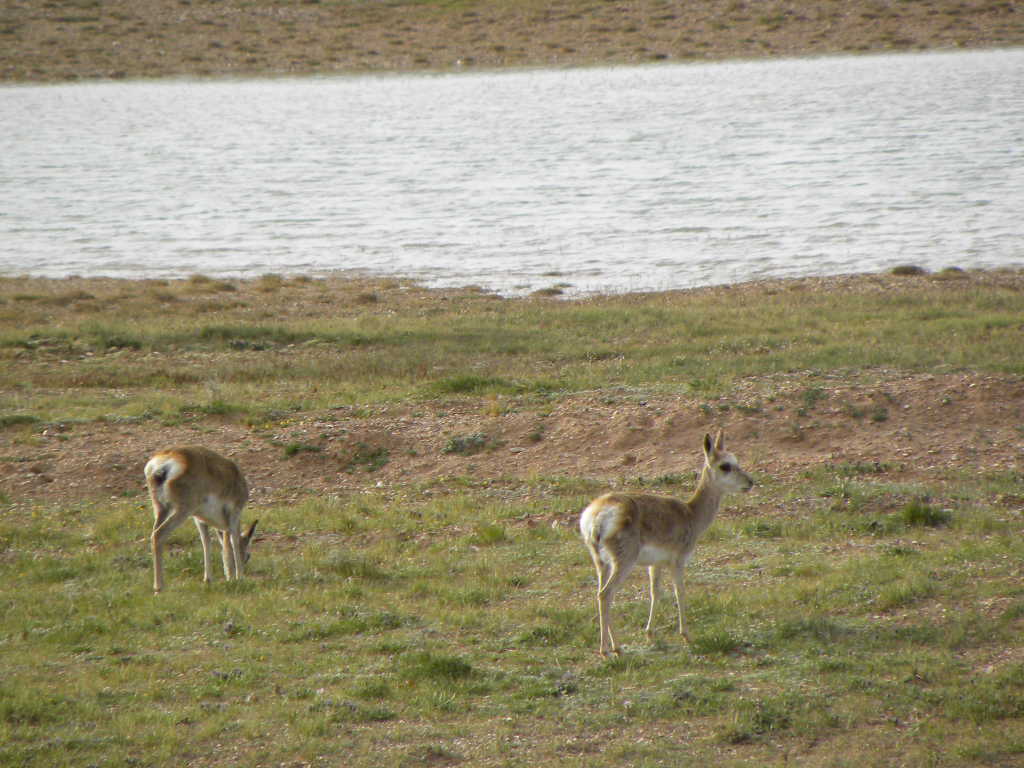DSCN3405.jpg