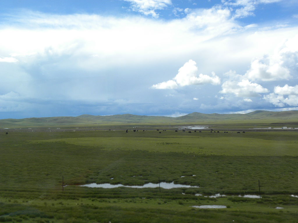 DSCN3454.jpg