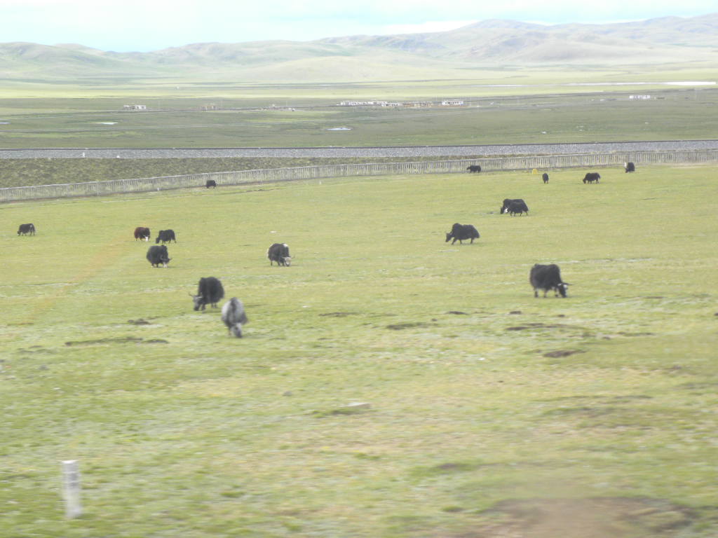 DSCN3461.jpg