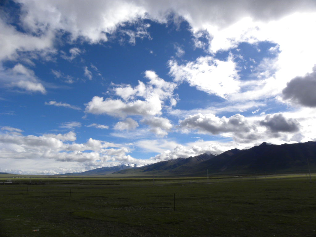 DSCN3472.jpg