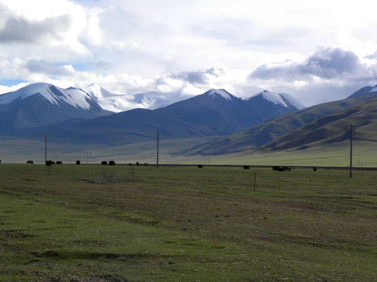 DSCN3488.jpg